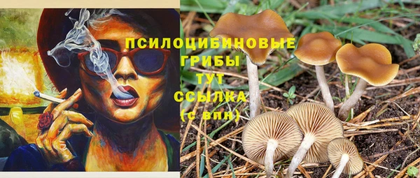 Альфа ПВП Беломорск